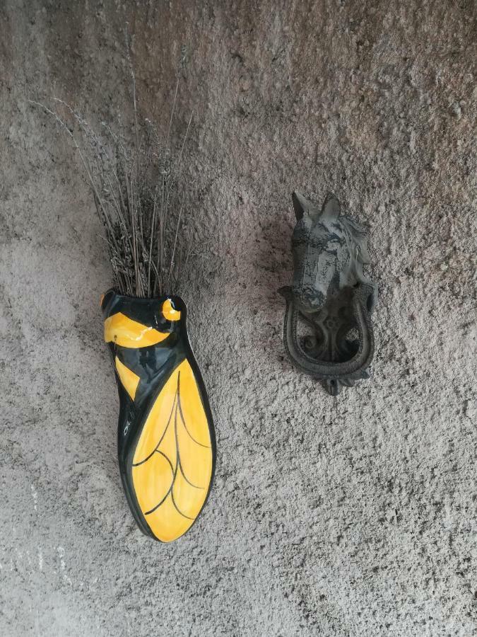 Maison Valras Acces Direct A La Plage Экстерьер фото